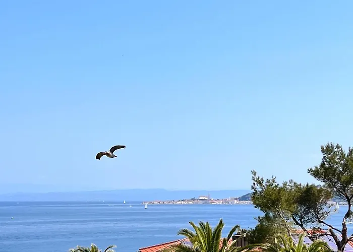 Апартаменты Tamara